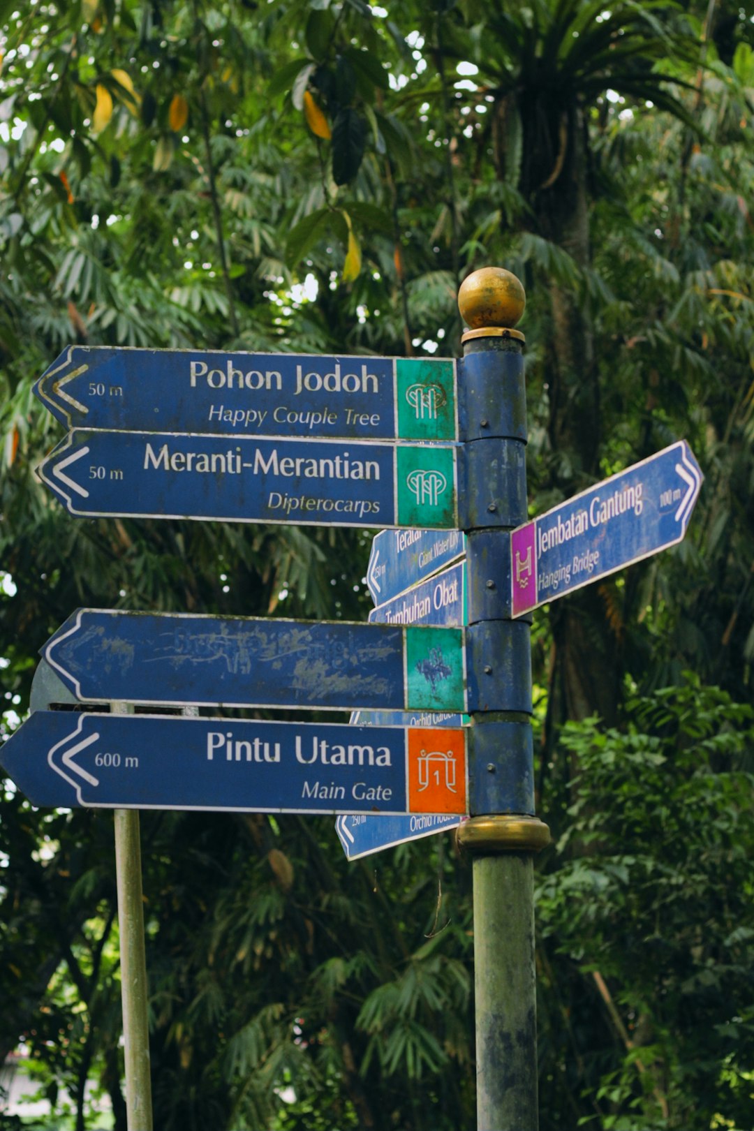 Sustainable tourism practices